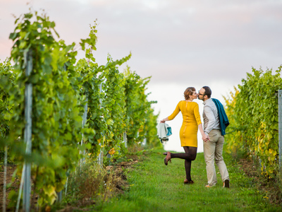 Winnica w Mierzęcinie