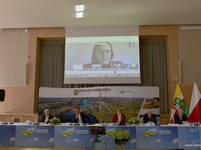Minister Małgorzata Jarosińska-Jedynak w połączeniu zdalnym