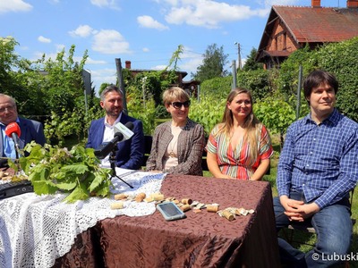 Konferencja prasowa przed rozpoczynającym się 18 czerwca Lubuskim Festiwalem Otwartych Piwnic i Winnic. Na zdjęciu marszałek Elżbieta Anna Polak (w środku), poseł Waldemar Sługocki, właścicielka winnicy "Kinga", Kinga Koziarska, dziennikarz Gazety Wyborczej, Szymon Półciennik (z prawej), prezes Fundacji na Rzecz Lubuskiego Dziedzictwa - Gloria Monte Verde, Przemysław Karwowski, który jest również inicjatorem utworzenia Lubuskiego Szlaku Wina i Miodu (z lewej).