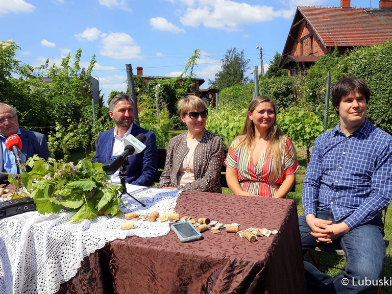 Konferencja prasowa przed rozpoczynającym się 18 czerwca Lubuskim Festiwalem Otwartych Piwnic i Winnic. Na zdjęciu marszałek Elżbieta Anna Polak (w środku), poseł Waldemar Sługocki, właścicielka winnicy "Kinga", Kinga Koziarska, dziennikarz Gazety Wyborczej, Szymon Półciennik (z prawej), prezes Fundacji na Rzecz Lubuskiego Dziedzictwa - Gloria Monte Verde, Przemysław Karwowski, który jest również inicjatorem utworzenia Lubuskiego Szlaku Wina i Miodu (z lewej).