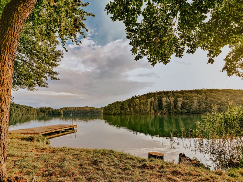 Łagów, widok na jezioro Trześniowskie z plaży przy pensjonacie SAGE. Jedno z najpiękniejszych miejsc w naszym województwie. Czysta woda, szum lasu, słońce odbijające się od tafli wody. Ostoja przyrody i jej piękna w pełni ukazuje się w tym miejscu. Fot. Klaudia Weronika Ajryś