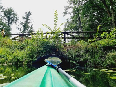 Zdjęcie wykonane podczas rodzinnego spływu kajakowego rzeką Obrą, bardzo malowniczą i zaskakującą. Na trasie sporo zwalonych drzew, mosty, bogata roślinność i błogi szum wody. Fot. Sylwia Grochowska