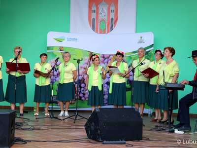 Występ zespołu Gramofon z okazji Święta Województwa Lubuskiego w Zaborze