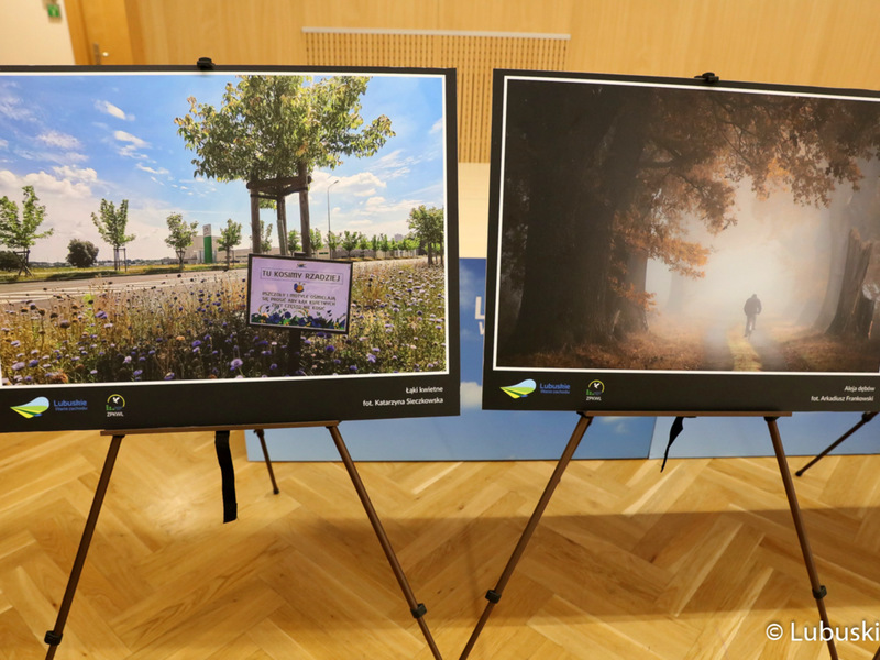 Gala finałowa konkursu Lubuskie Ekologiczne w Sali Kolumnowej urzędu marszałkowskiego