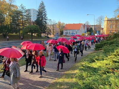 Uczestnicy Różowego Marszu w Zielonej Górze. 