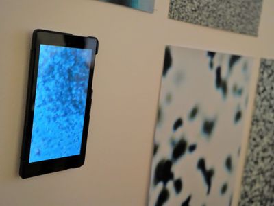 11 lutego 2022 r. dr Marek Lalko otworzył w Galerii Nowy Wiek Muzeum Ziemi Lubuskiej wystawę swoich prac „Ćwiczenia o rzeczach i czasie”. W wernisażu udział wzięli m.in. kuratorka ekspozycji dr hab. Alicja Lewicka-Szczegóła, dyrektor MZL Leszek Kania, rektor Uniwersytetu Zielonogórskiego prof. dr hab. Wojciech Strzyżewski. Wystawa czynna do 13 marca 2022 r.