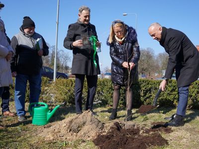Światowy Dzień Nerek - sadzenie Drzewka Nadziei
