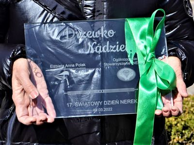 Światowy Dzień Nerek - sadzenie Drzewka Nadziei