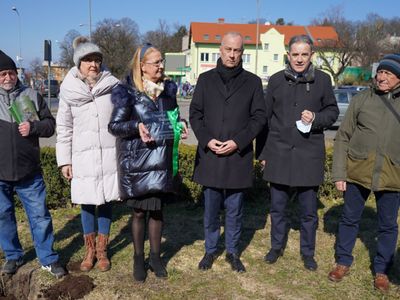 Światowy Dzień Nerek - sadzenie Drzewka Nadziei