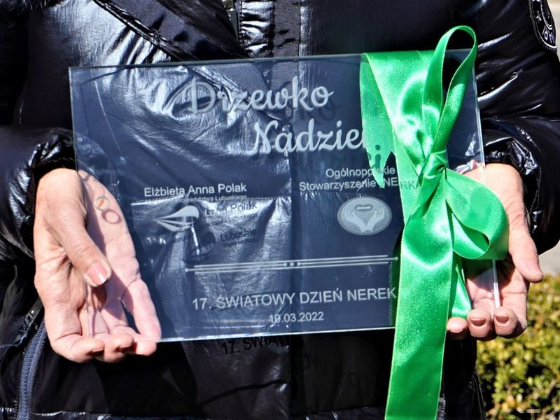 Światowy Dzień Nerek - sadzenie Drzewka Nadziei