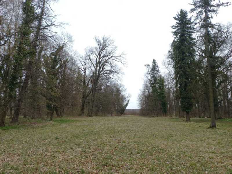 Park w Zaborze