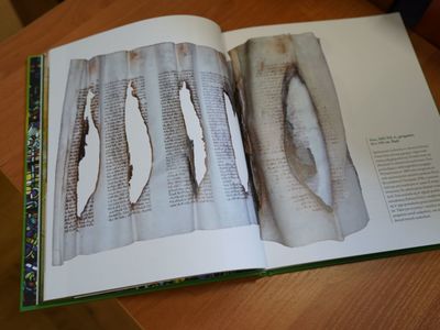 Muzeum Ziemi Lubuskiej wydało jubileuszowy katalog „100 lat Muzeum w Zielonej Górze 1922-2022”. 