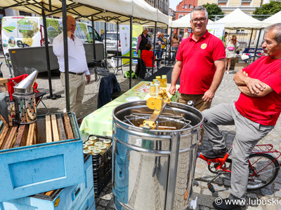 17 lipca 2022 r. Piknik Zdrowia i Profilaktyki we Wschowie 