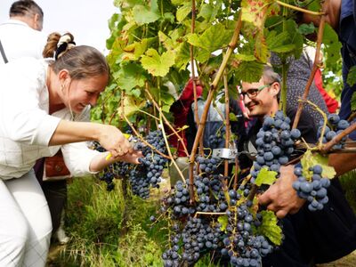 24 września 2022 r. VII Winobranie z Piknikiem Zdrowia i Profilaktyki w Lubuski Centrum Winiarstwa w Zaborze