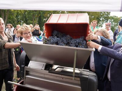 24 września 2022 r. VII Winobranie z Piknikiem Zdrowia i Profilaktyki w Lubuski Centrum Winiarstwa w Zaborze