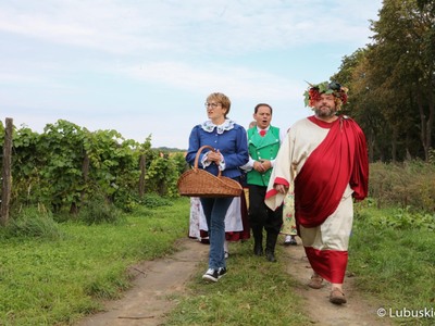 Winobranie na winnicy samorządowej w Zaborze. Na zdjęciu marszałek Elżbieta Anna Polak oraz Bachus 