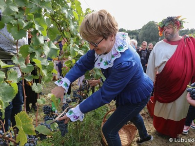 Marszałek Elżbieta Anna Polak oraz Bachus podczas zbioru winogron na winnicy samorządowej w Zaborze