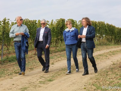 Marszałek Elżbieta Anna Polak, prezydent Sopotu Jacek Karnowski (z prawej), Senator RP Wadim Tyszkiewicz (z lewej) oraz Marek Wójcik ze Związku Miast Polskich podczas zbioru winogron na winnicy samorządowej w Zaborze
