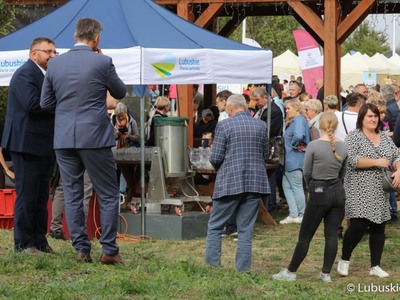 Winobranie na winnicy samorządowej w Zaborze