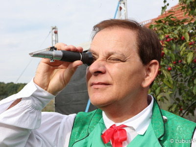 Winobranie na winnicy samorządowej w Zaborze