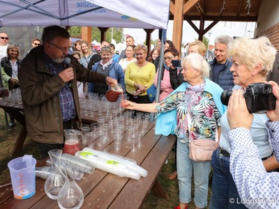 Winobranie na winnicy samorządowej w Zaborze