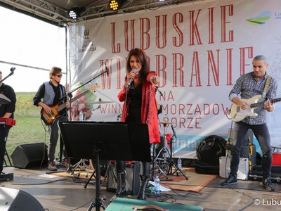 Występ zespołu Gedia Blues Band podczas winobrania na winnicy samorządowej w Zaborze 
