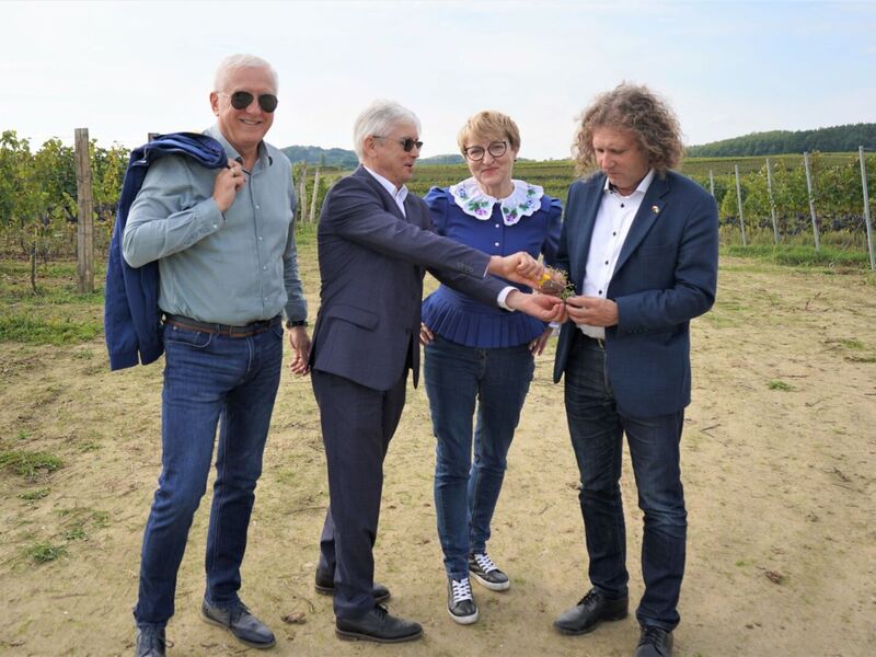 24 września 2022 r. VII Winobranie z Piknikiem Zdrowia i Profilaktyki w Lubuski Centrum Winiarstwa w Zaborze