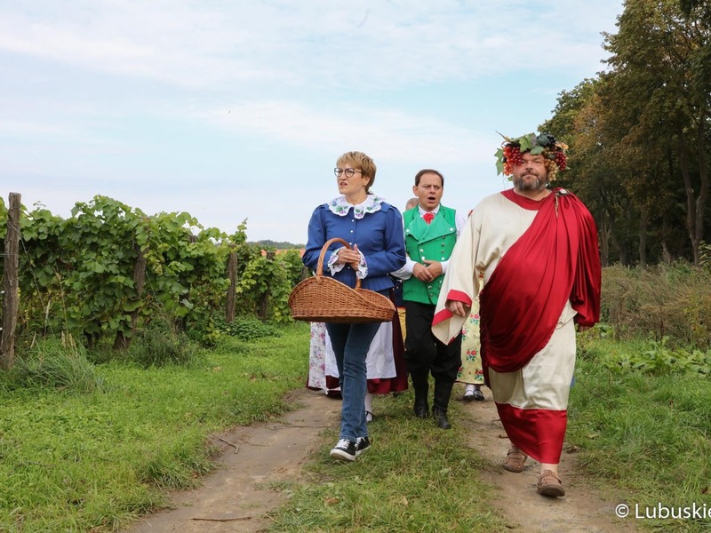 Winobranie na winnicy samorządowej w Zaborze. Na zdjęciu marszałek Elżbieta Anna Polak oraz Bachus
