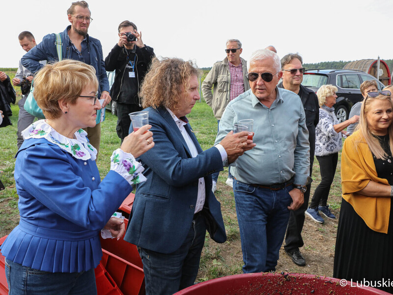 Winobranie na winnicy samorządowej w Zaborze. Na zdjęciu marszałek Elżbieta Anna Polak, prezydent Sopotu Jacek Karnowski oraz Senator RP Wadim Tyszkiewicz piją świeżo wyciśnięty sok z winogron
