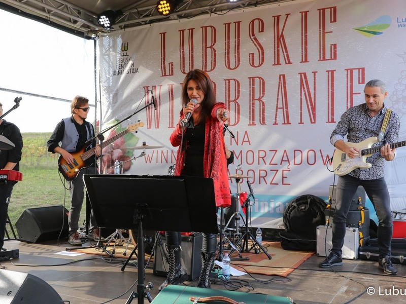 Występ zespołu Gedia Blues Band podczas winobrania na winnicy samorządowej w Zaborze
