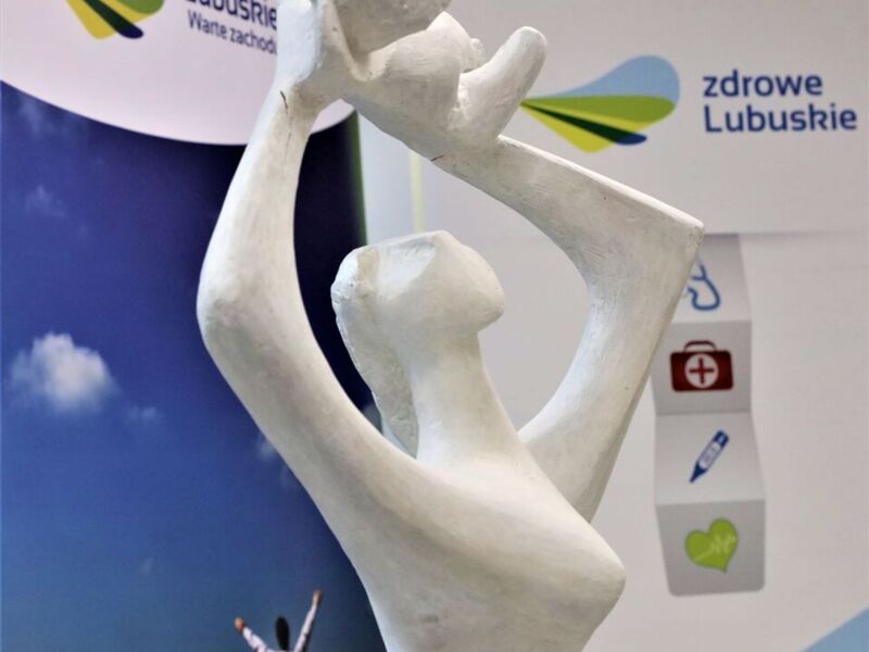 2 listopada 2022 r. rozpoczęły się przenosiny oddziałów zielonogórskiego Szpitala Uniwersyteckiego do Centrum Zdrowia Matki i Dziecka. Z tej okazji odbył się briefing prasowy.