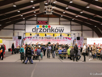 VI Święto Młodego Lubuskiego Wina w Wojewódzkim Ośrodku Sportu i Rekreacji w Zielonej Górze Drzonkowie 