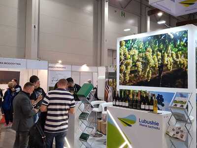 Województwo Lubuskie wspólnie z lubuskimi winiarzami prezentuje swoją ofertę podczas Międzynarodowych Targów Wina ENOEXPO w Krakowie. Targi odbywają się w dniach od 16 do 18 listopada br. a na stoisku zobaczymy: Lubuskie Centrum Winiarstwa w Zaborze, Winnicę Miłosz, Winnicę Folwark Pszczew, Winnicę Equus, Winnicę Milsko, Winnicę Łukasz