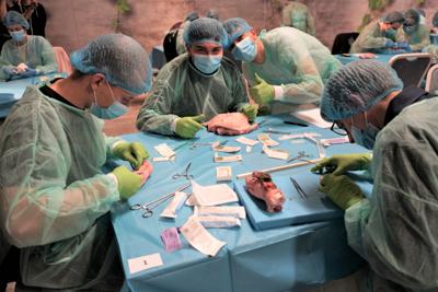 20 maja 2023 r. Collegium Medicum Uniwersytetu Zielonogórskiego i Uniwersytet Medyczny im. Karola Marcinkowskiego w Poznaniu po raz czwarty zorganizowały w Zielonej Górze Mistrzostwa Polski w Szyciu Chirurgicznym