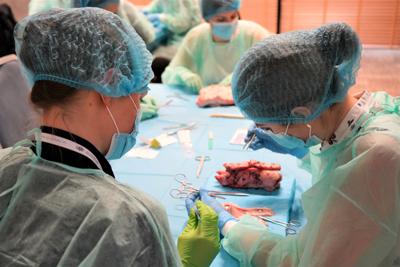 20 maja 2023 r. Collegium Medicum Uniwersytetu Zielonogórskiego i Uniwersytet Medyczny im. Karola Marcinkowskiego w Poznaniu po raz czwarty zorganizowały w Zielonej Górze Mistrzostwa Polski w Szyciu Chirurgicznym