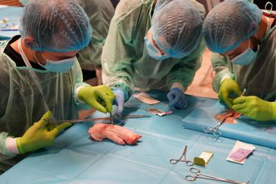 20 maja 2023 r. Collegium Medicum Uniwersytetu Zielonogórskiego i Uniwersytet Medyczny im. Karola Marcinkowskiego w Poznaniu po raz czwarty zorganizowały w Zielonej Górze Mistrzostwa Polski w Szyciu Chirurgicznym