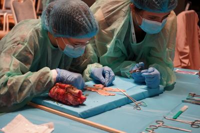 20 maja 2023 r. Collegium Medicum Uniwersytetu Zielonogórskiego i Uniwersytet Medyczny im. Karola Marcinkowskiego w Poznaniu po raz czwarty zorganizowały w Zielonej Górze Mistrzostwa Polski w Szyciu Chirurgicznym