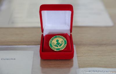 Pamiątki Terenowego Komitetu Ochrony Praw Dziecka w Zielonej Górze