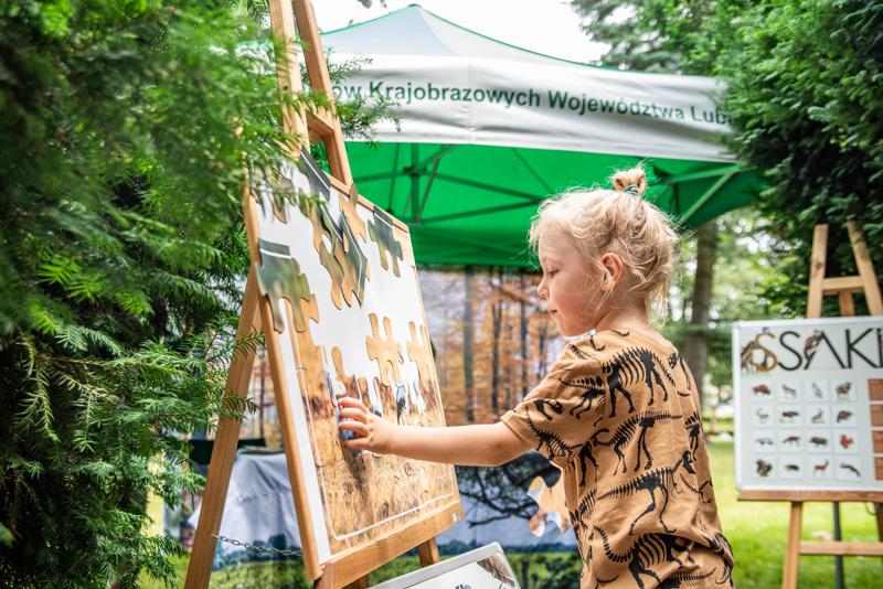 Lubuski Piknik Zdrowia i Profilaktyki w Gorzowie Wlkp.