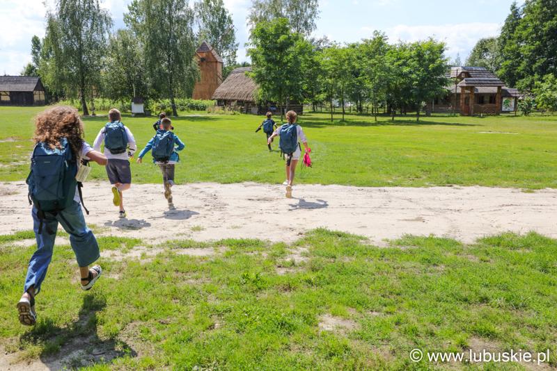 Szukanie Bachusika