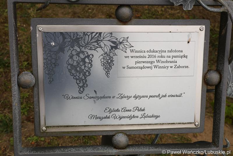 Tablica pamiątkowa w Lubuskim Centrum Winiarstwa w Zaborze