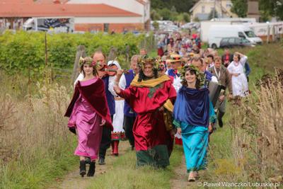 Korowód podczas VIII Winobrania na Winnicy Samorządowej w Zaborze 