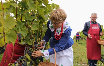Uczestnicy VIII Winobrania na Winnicy Samorządowej w Zaborze