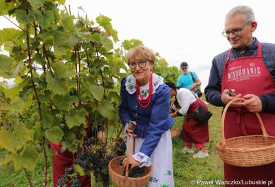Uczestnicy VIII Winobrania na Winnicy Samorządowej w Zaborze