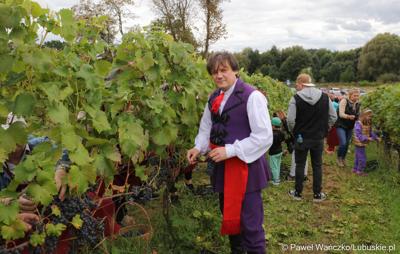 Uczestnicy VIII Winobrania na Winnicy Samorządowej w Zaborze