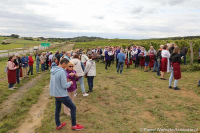 Uczestnicy VIII Winobrania na Winnicy Samorządowej w Zaborze