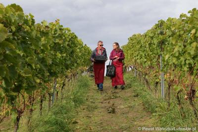 Uczestnicy VIII Winobrania na Winnicy Samorządowej w Zaborze