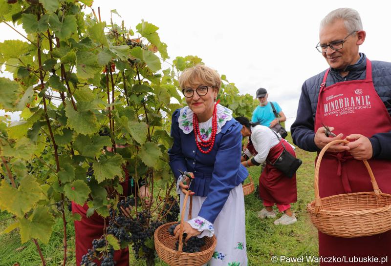 Uczestnicy VIII Winobrania na Winnicy Samorządowej w Zaborze