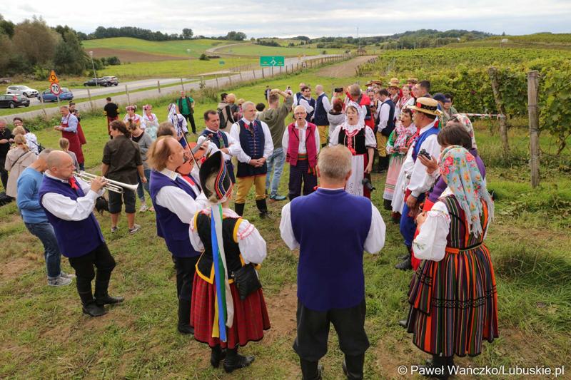 Uczestnicy VIII Winobrania na Winnicy Samorządowej w Zaborze