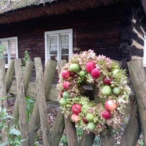„U progu jesieni” - wystawcy 